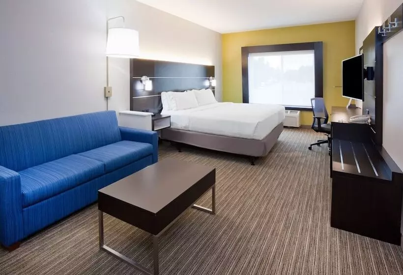 سوییت, Holiday Inn Express & Suites   Dickinson, An Ihg