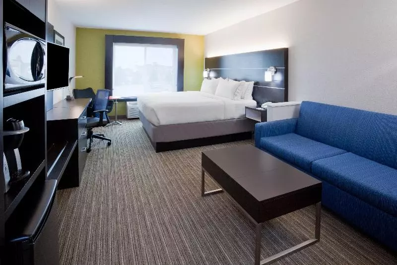 سوئیت با تخت بزرگ, Holiday Inn Express & Suites   Dickinson, An Ihg