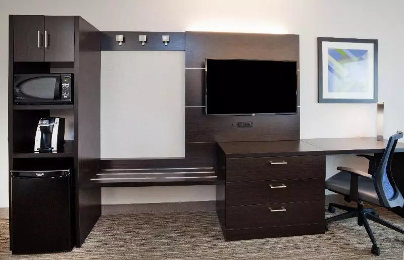 سوئیت با تخت بزرگ, Holiday Inn Express & Suites   Dickinson, An Ihg