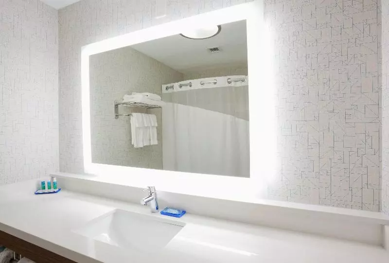 سوئیت با تخت بزرگ, Holiday Inn Express & Suites   Dickinson, An Ihg
