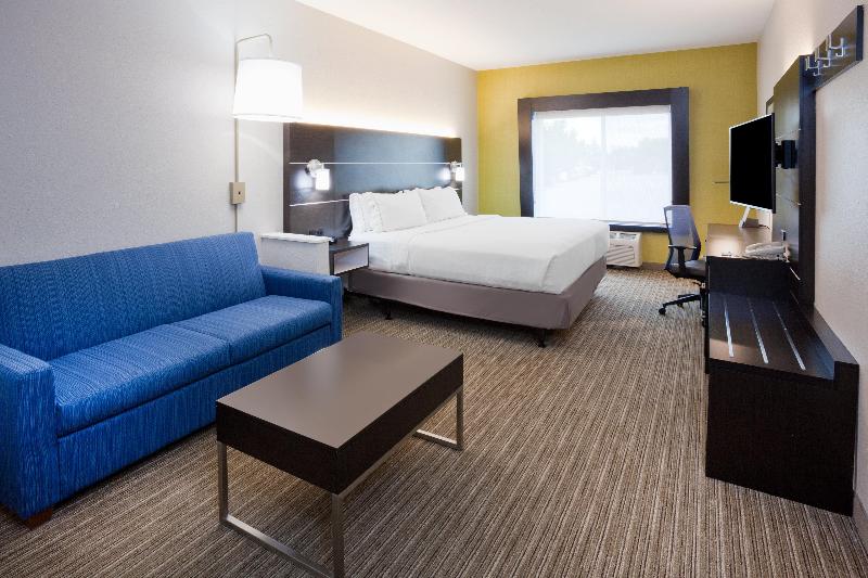 جناح سرير كينج, Holiday Inn Express & Suites   Dickinson, An Ihg