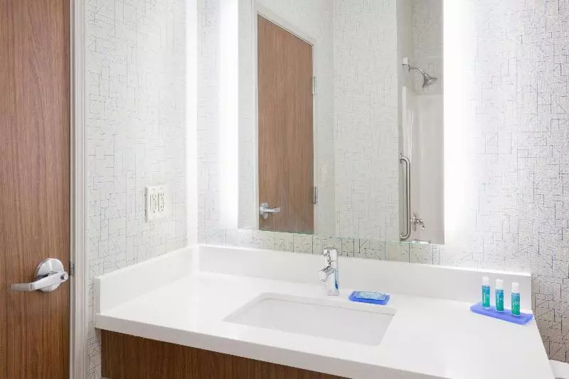 سوئیت با تخت بزرگ, Holiday Inn Express & Suites   Dickinson, An Ihg