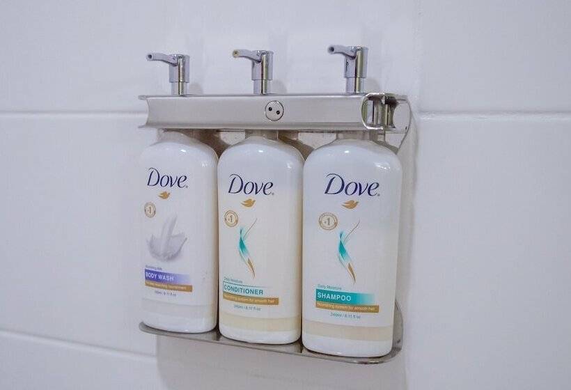 غرفة قياسية, Holiday Inn Express Hickory   Hickory Mart, An Ihg