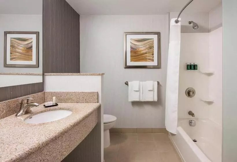 اتاق استاندارد با تخت بزرگ, Courtyard By Marriott Edmonton West