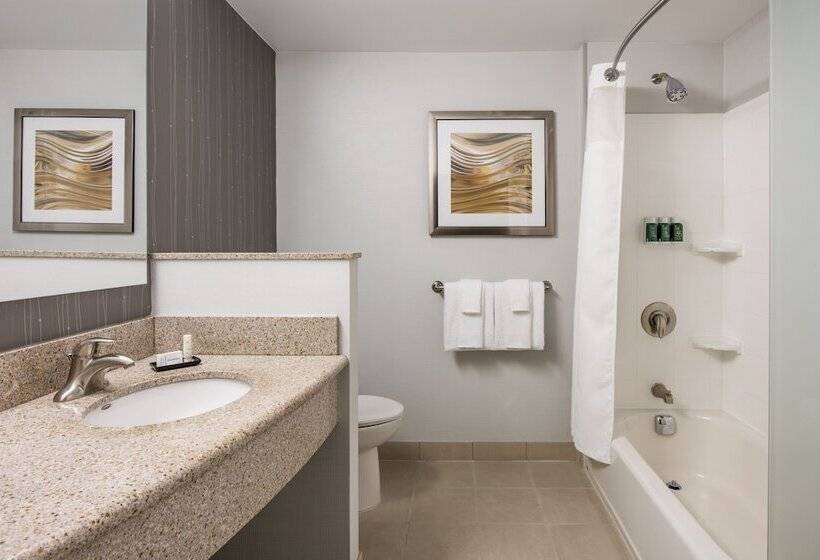 スタンダードルーム, Courtyard By Marriott Edmonton West