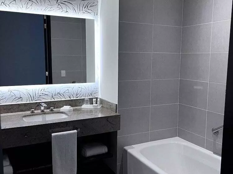 スイート, Holiday Inn Bogota Airport, An Ihg
