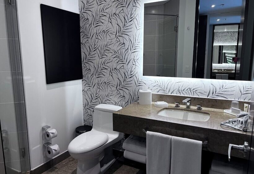 스탠다드 룸 더블 침대 도시 전망, Holiday Inn Bogota Airport, An Ihg