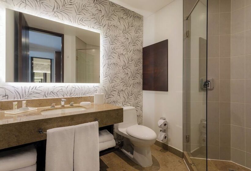 Номер Стандарт Двуспальная Кровать Вид на Город, Holiday Inn Bogota Airport, An Ihg