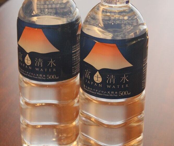 스탠다드 룸, Ryumeikan Ochanomizu Honten