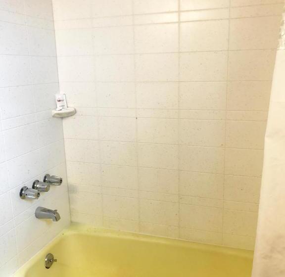 غرفه قياسيه سريرين مزدوجين, Skyview Manor Motel