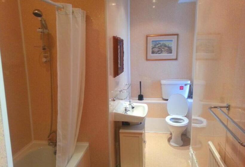 기본룸, The Hotel Commodore