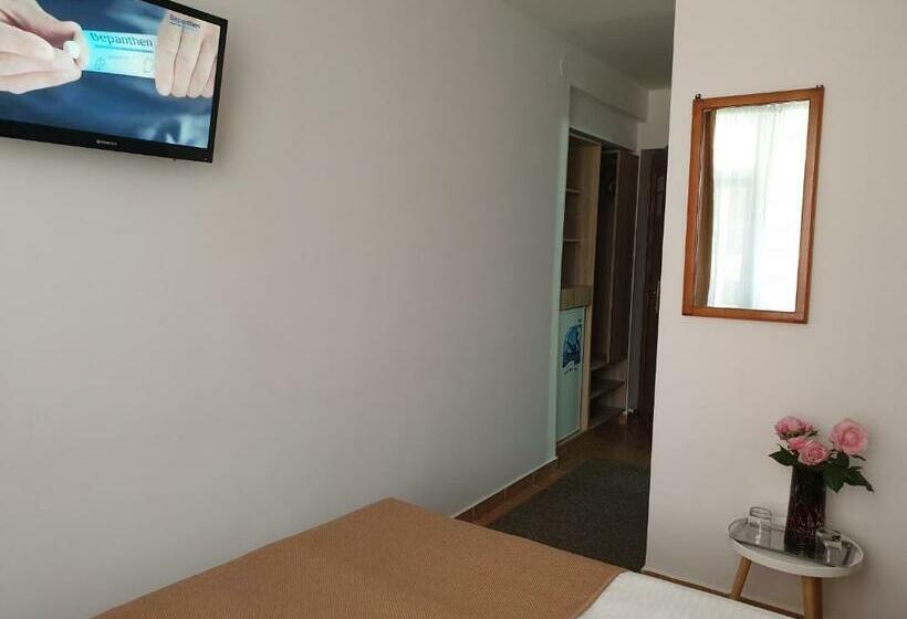 ベーシックルーム, Ovidiu