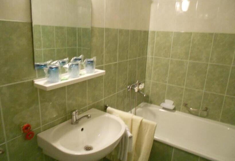 １階のスタンダードルーム, Ovidiu