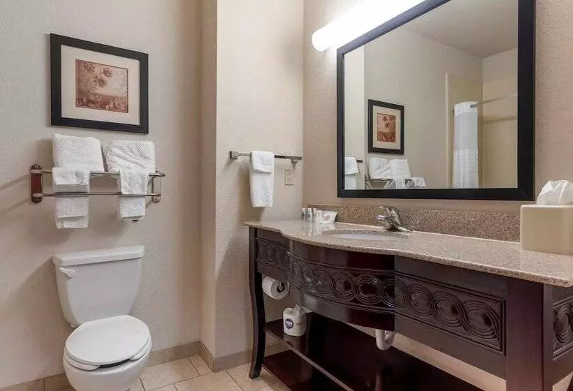 スイート, Lake Texoma Inn And Suites To Match Ihg