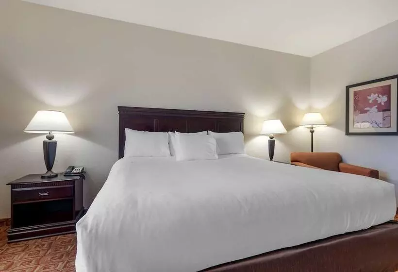 スイート, Lake Texoma Inn And Suites To Match Ihg