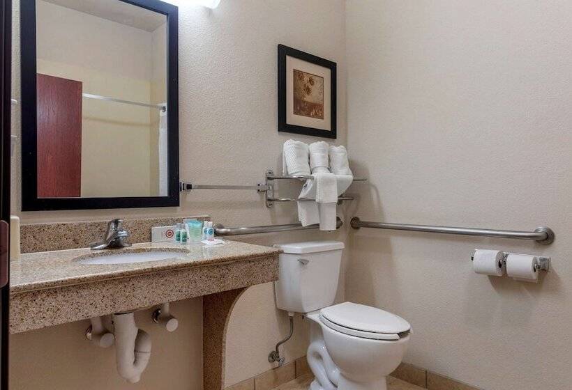 جناح لذوى الاحتياجات الخاصة, Lake Texoma Inn And Suites To Match Ihg