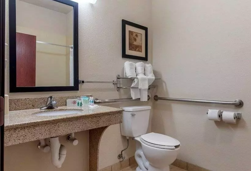 身障者適用スイートルーム, Lake Texoma Inn And Suites To Match Ihg