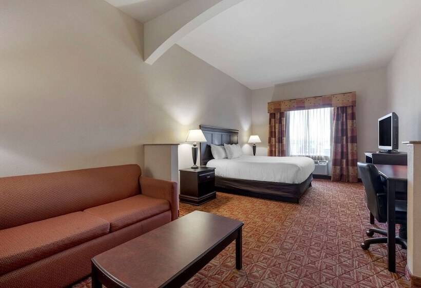 适合残疾人士使用的套间, Lake Texoma Inn And Suites To Match Ihg