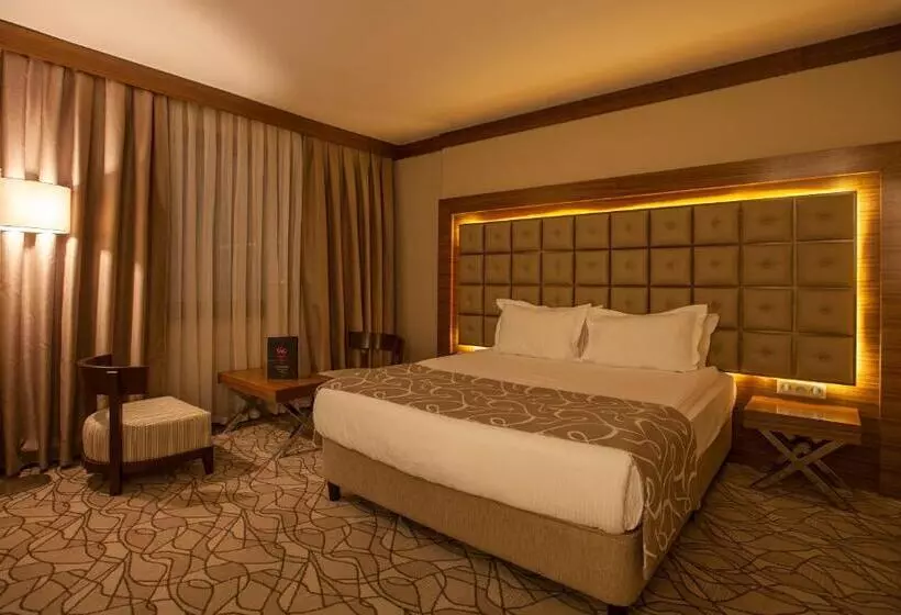 اتاق استاندارد یک نفره, Grand Hotel Gaziantep