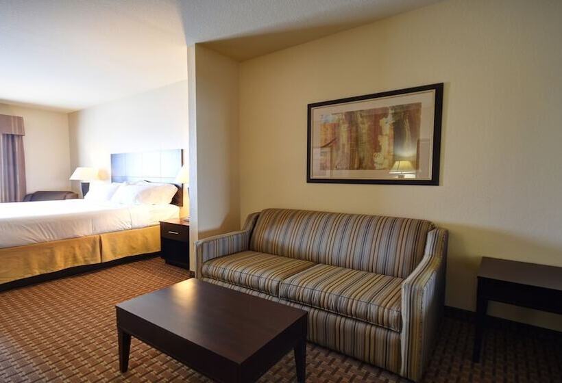 جناح, Holiday Inn Express & Suites Del Rio, An Ihg