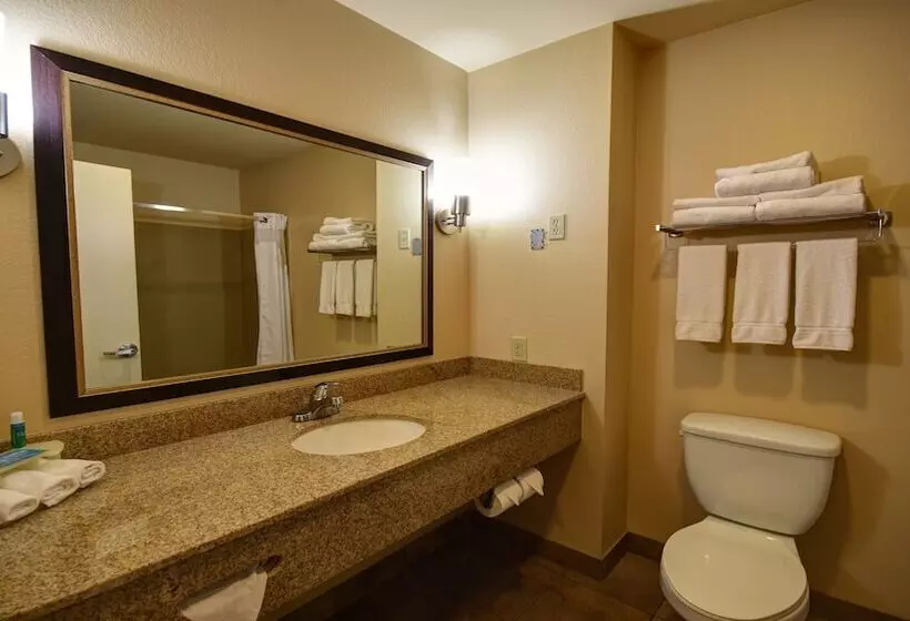 اتاق استاندارد, Holiday Inn Express & Suites Del Rio, An Ihg