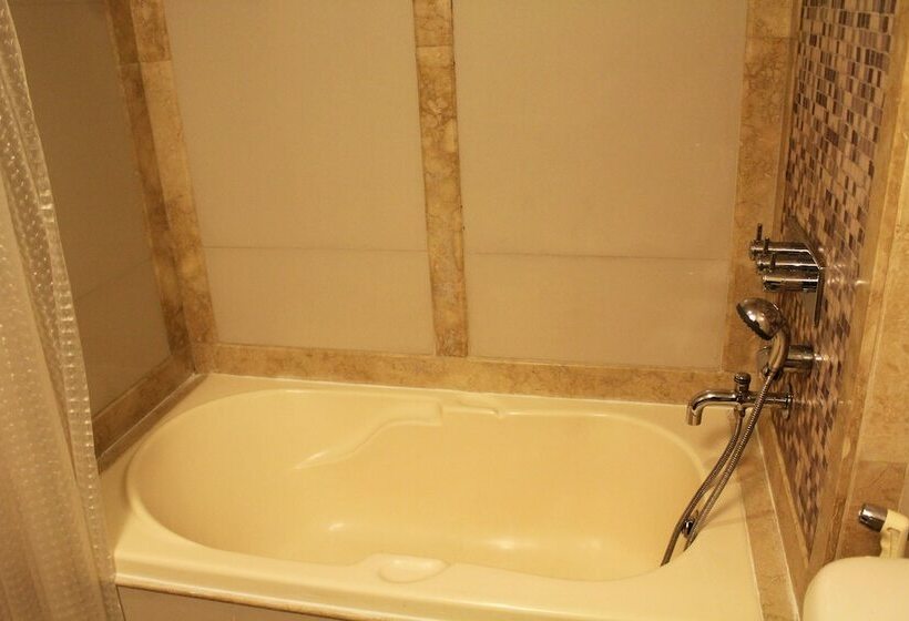 이그제큐티브 룸, Mayur Residency