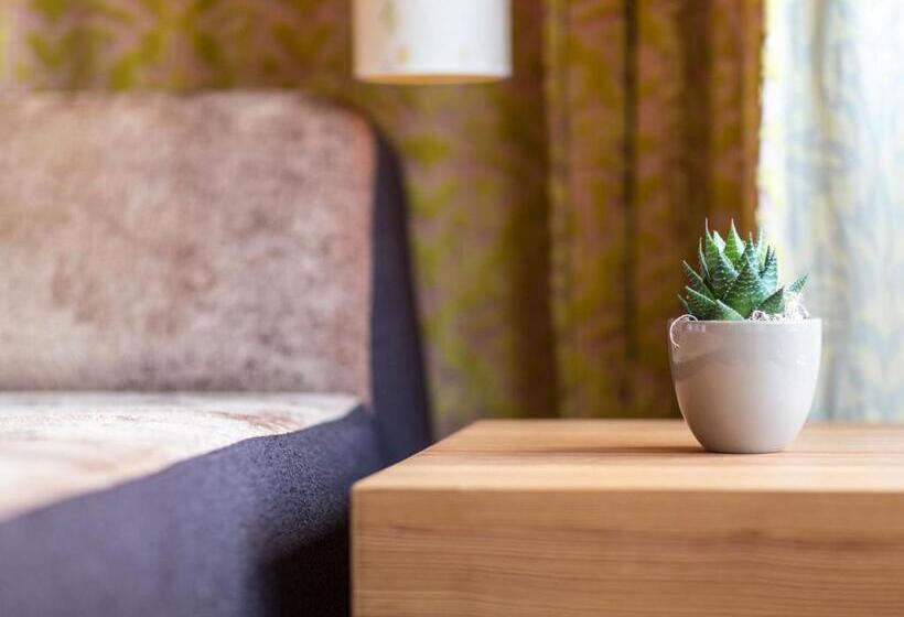 マウンテンビュースタンダードルーム, Active By Leitner S