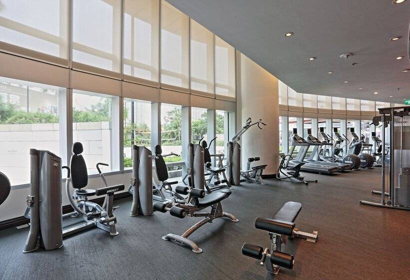 سوییت, City Of Dreams – The Countdown