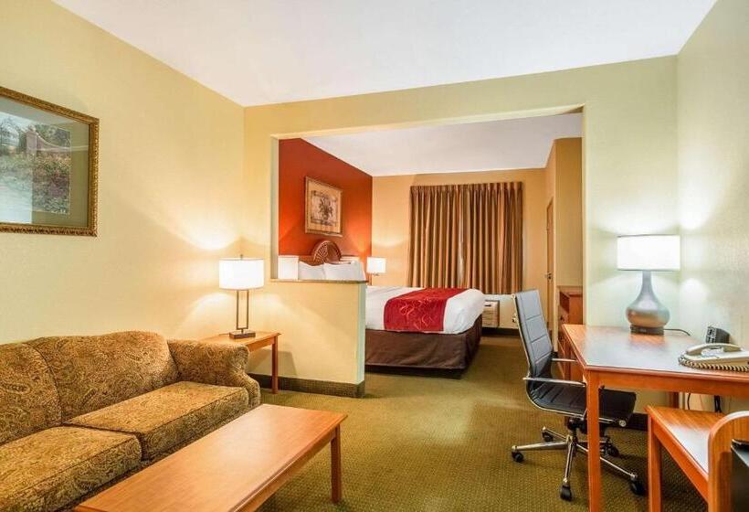 جناح لذوى الاحتياجات الخاصة, Comfort Suites