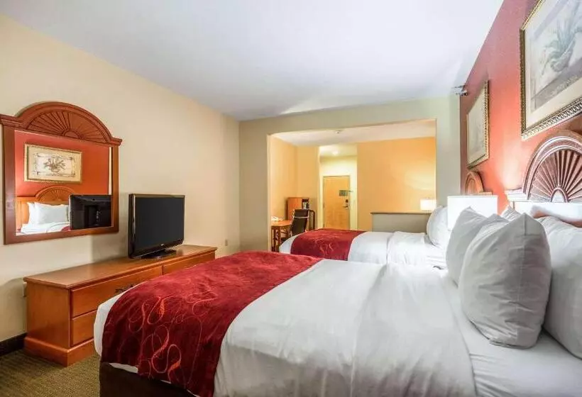 スイート, Comfort Suites