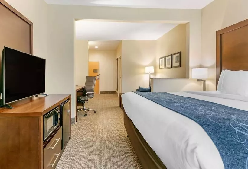 身障者適用スイートルーム, Comfort Suites