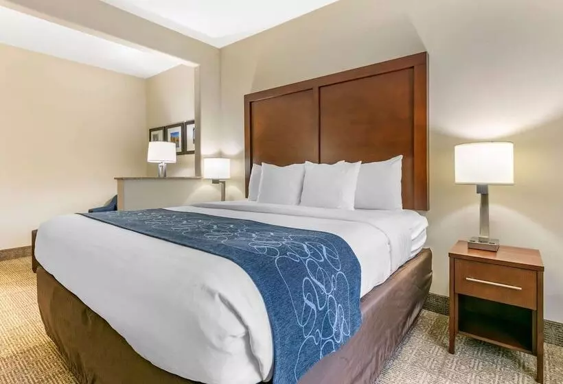 身障者適用スイートルーム, Comfort Suites