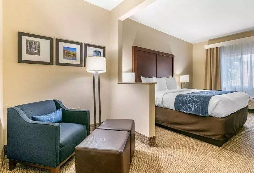 身障者適用スイートルーム, Comfort Suites