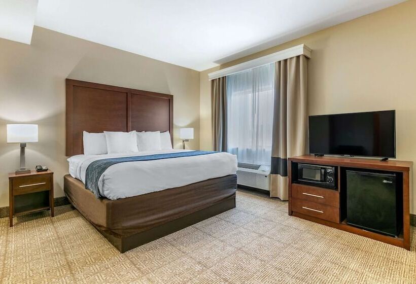 Люкс, Comfort Suites