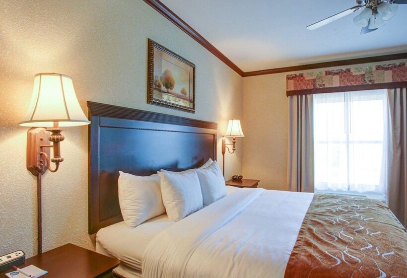 جناح, Comfort Suites University Drive