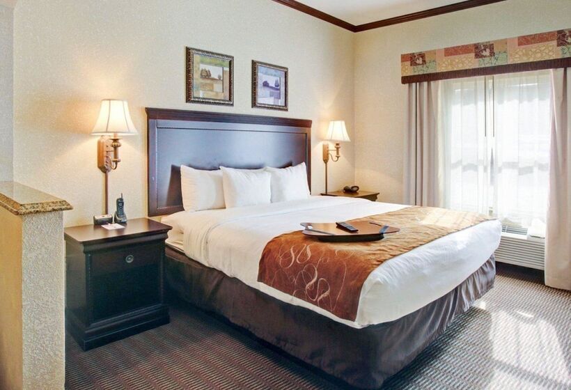 جناح لذوى الاحتياجات الخاصة, Comfort Suites University Drive