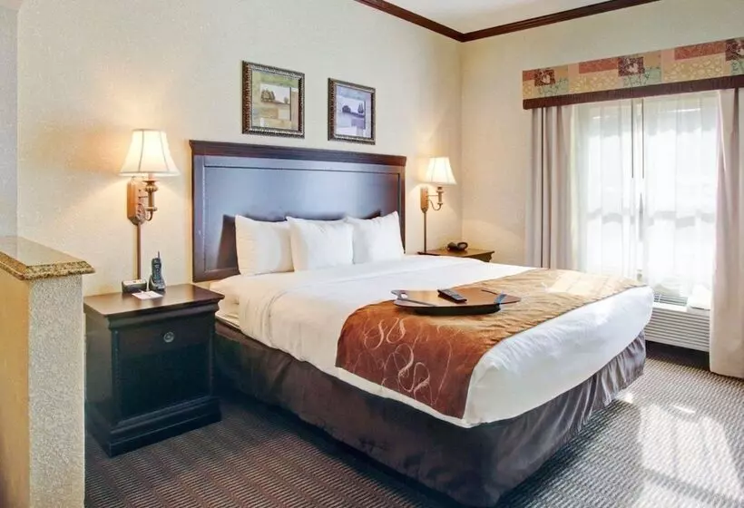 سوئیت برای معلولان, Comfort Suites University Drive