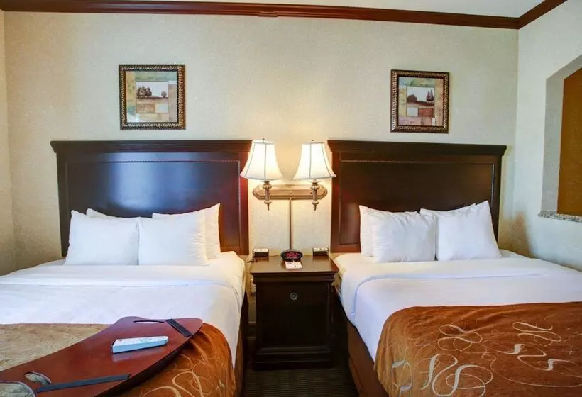 سوییت, Comfort Suites University Drive