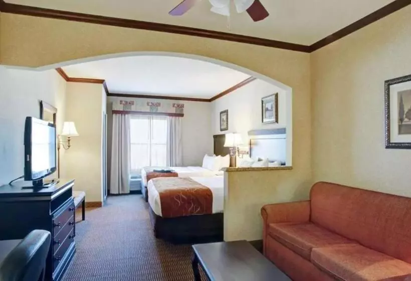 سوئیت با تخت بزرگ, Comfort Suites University Drive