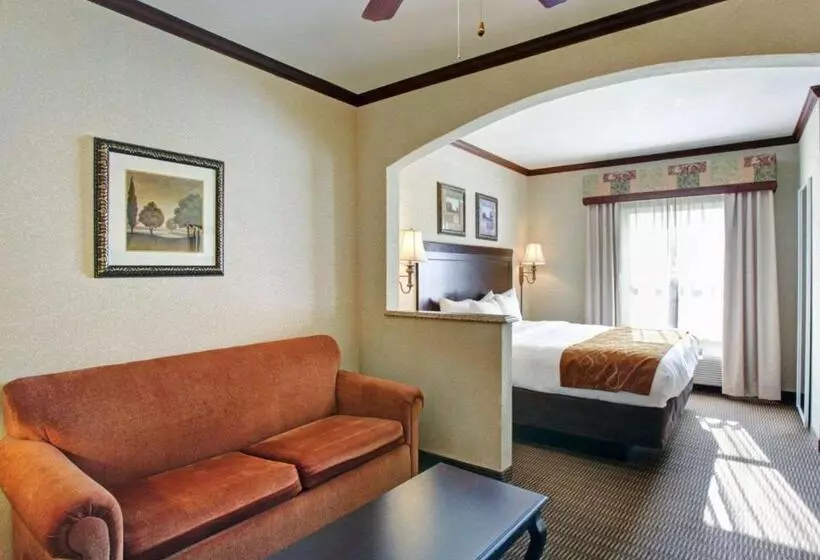 سوئیت با تخت بزرگ, Comfort Suites University Drive