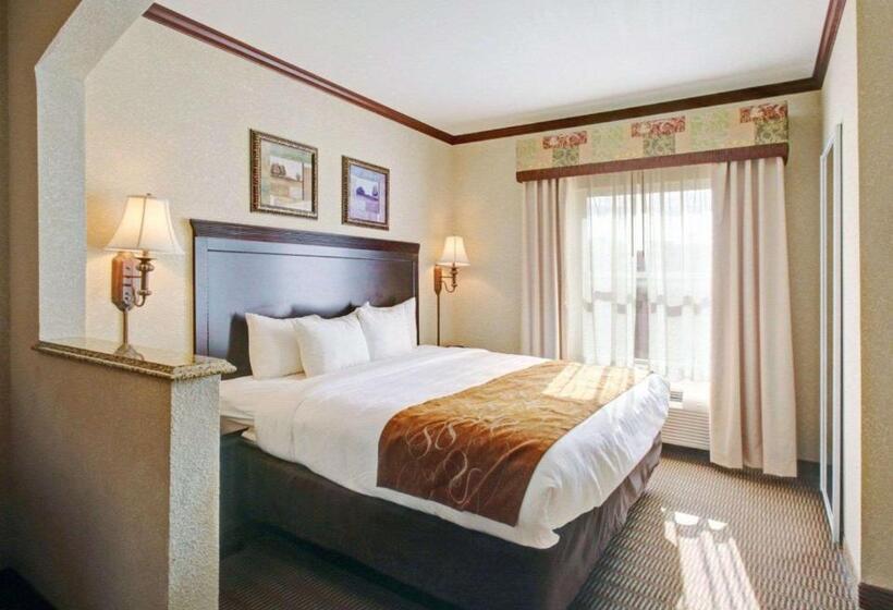 سوئیت با تخت بزرگ, Comfort Suites University Drive