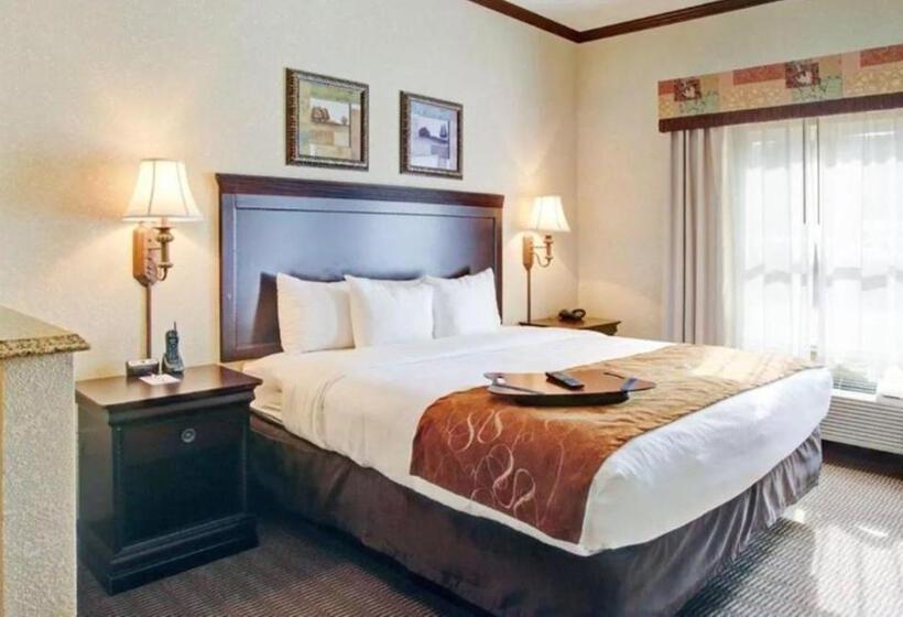 جناح لذوى الاحتياجات الخاصة, Comfort Suites University Drive