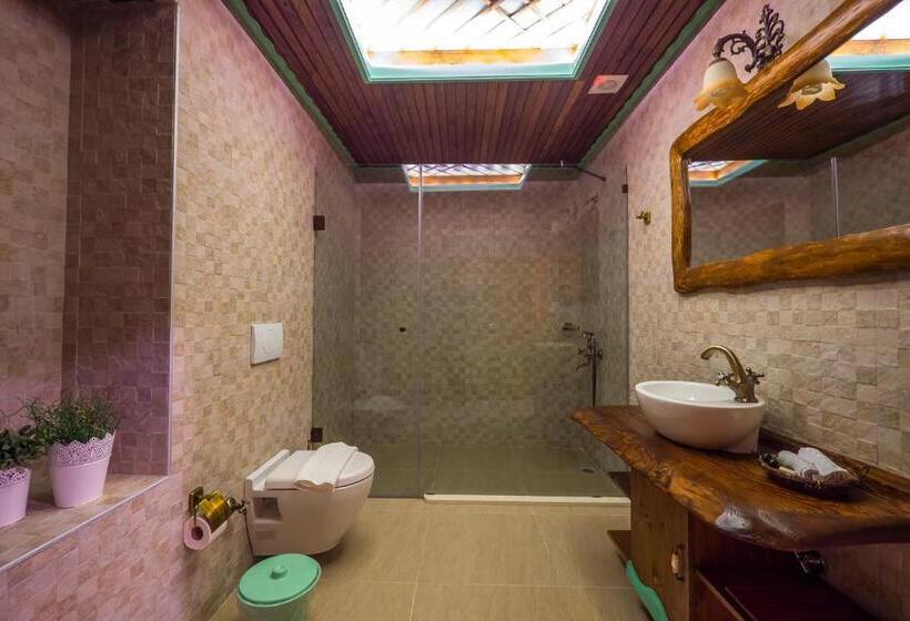 اتاق خانوادگی, Elif Stone House