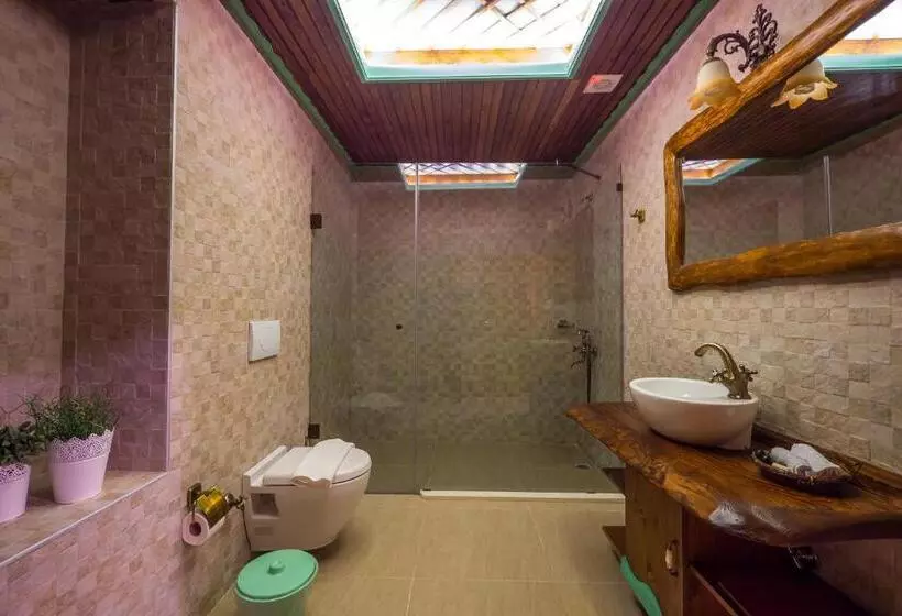 اتاق خانوادگی, Elif Stone House