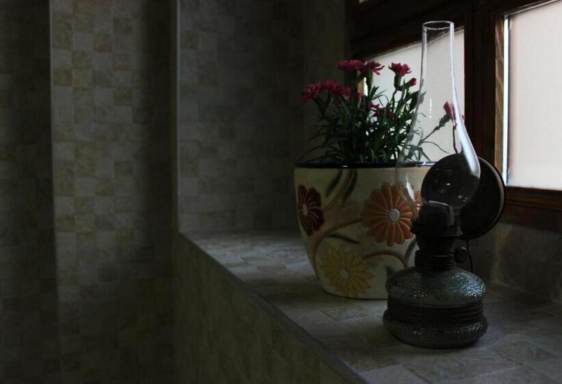 اتاق لوکس, Elif Stone House