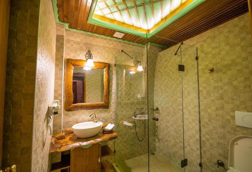 Номер Стандарт Вид на Бассейн, Elif Stone House