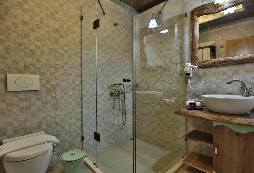 اتاق استاندارد با چشم‌انداز استخر, Elif Stone House