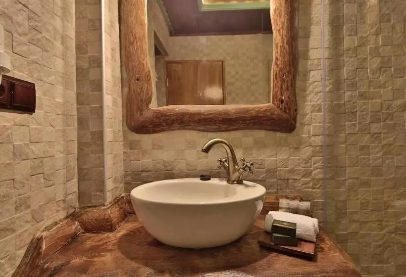 اتاق لوکس, Elif Stone House