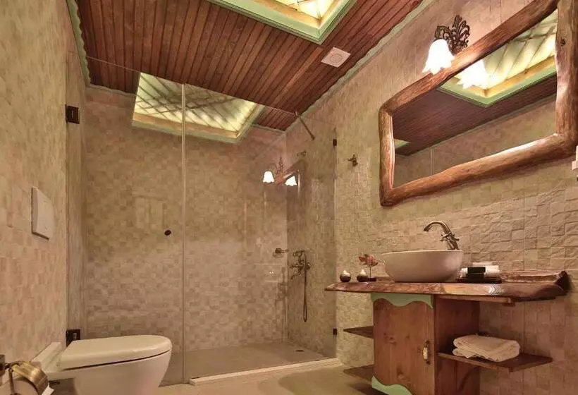 اتاق لوکس, Elif Stone House