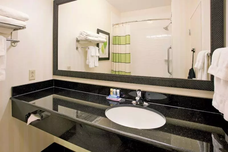 キングサイズベッドのスタンダードルーム, Fairfield Inn & Suites By Marriott Grand Island